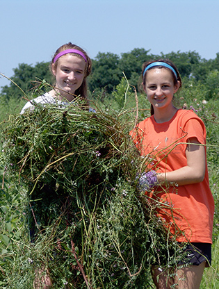 Girls holding eradicated invasives