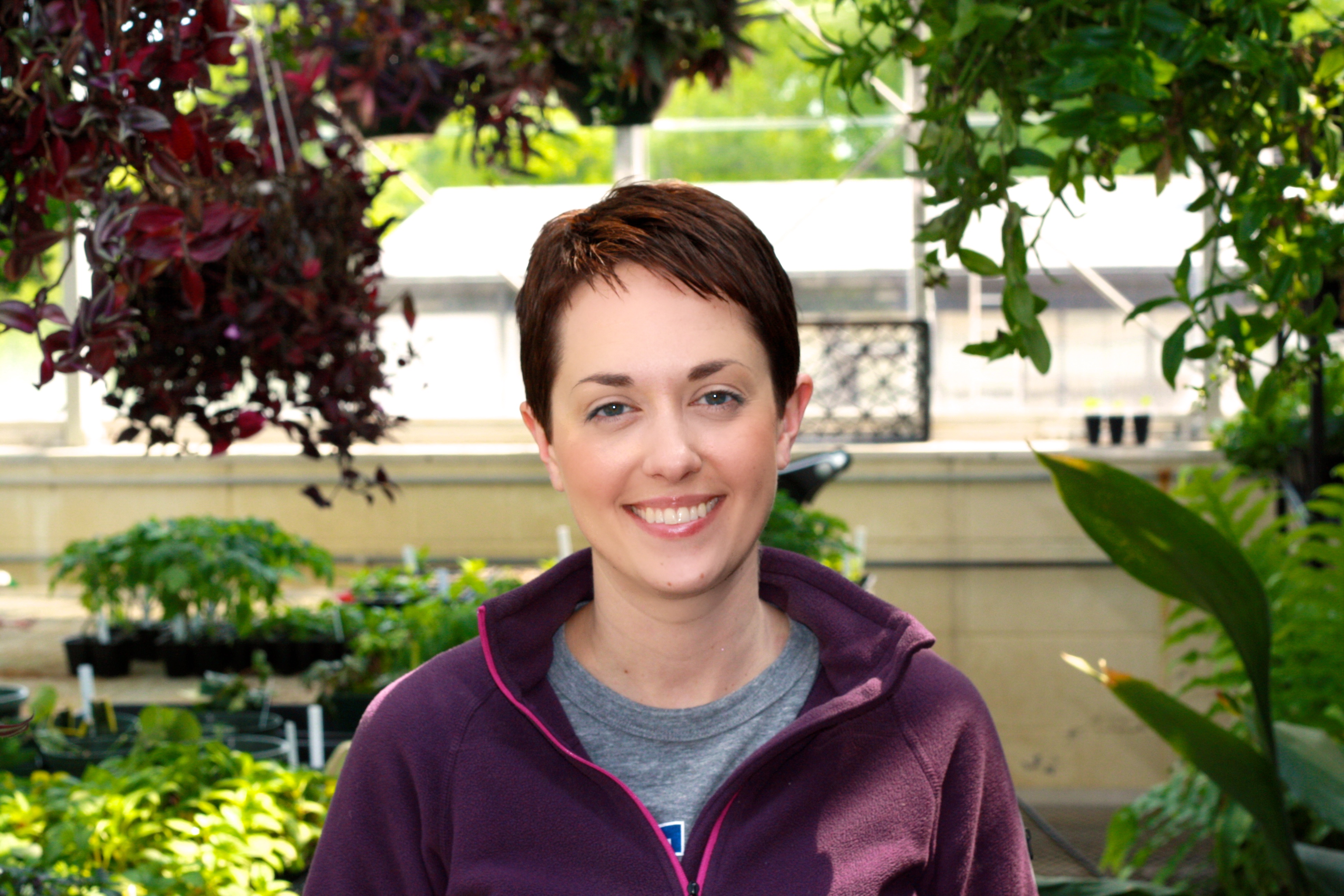 phd thesis in ethnobotany phd thesis in ethnobotany