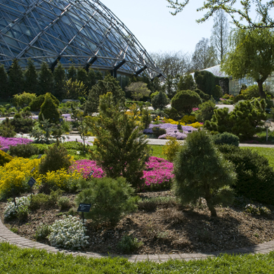 Meet Me Outdoors In St Louis Garden