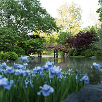 Japanese Garden japanese garden Japanese Garden japanese garden