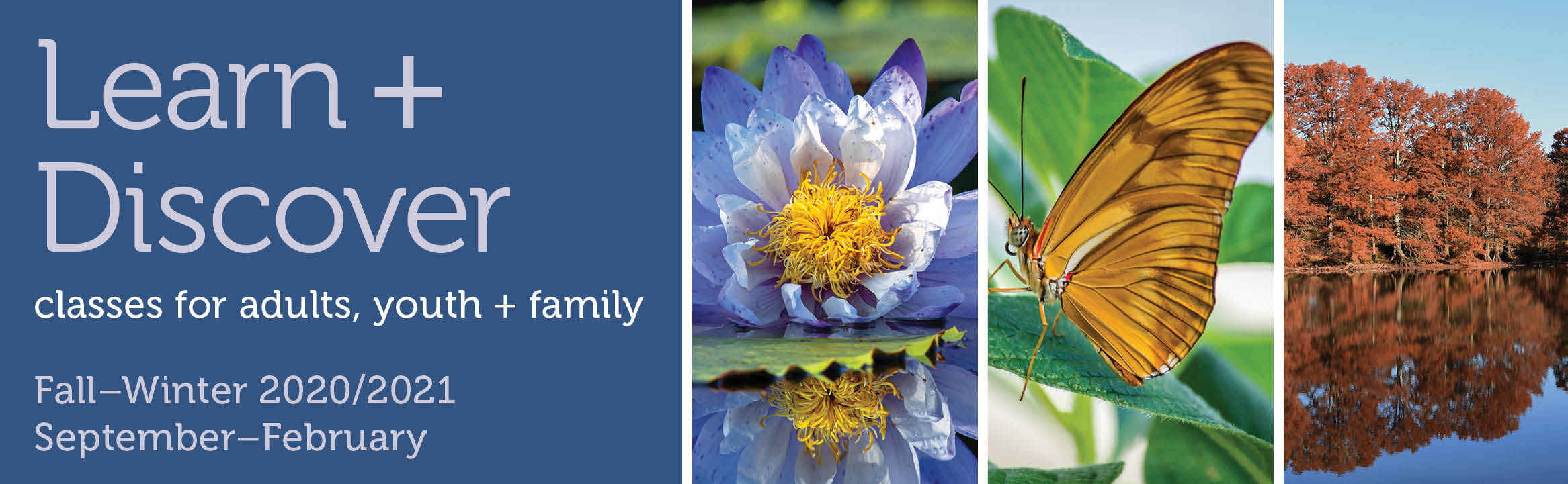 Learn and Discover: Classes for Adults, youth and family; Fall-Winter 2020/2021