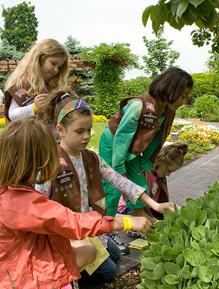 Girl Scout Program And Nature Centers Girl Scout Program And Nature Centers