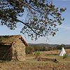 Sod house and tipi