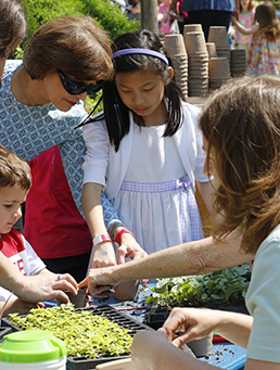 Children take part in a planting activity