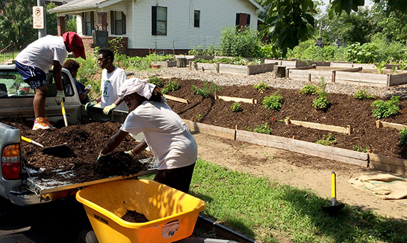 Participants mulching