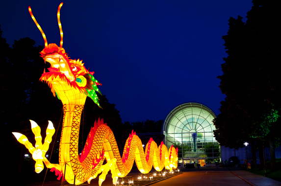 Welcoming Dragon Lantern
