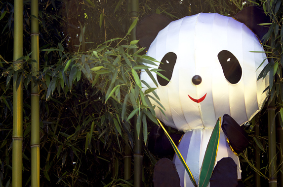Panda's Paradise