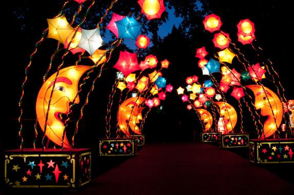 Moonlit Pathway