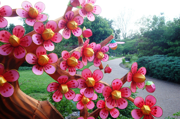 Cherry Blossom
