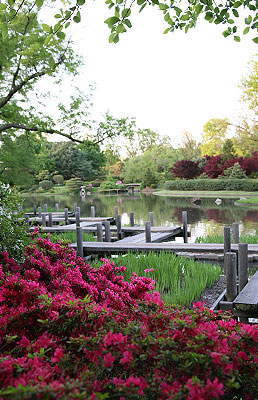 Japanese Garden