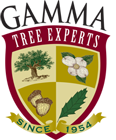 gamma logo