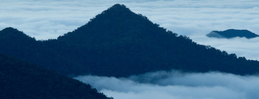 Cloud Forests image by Gabby Salazar