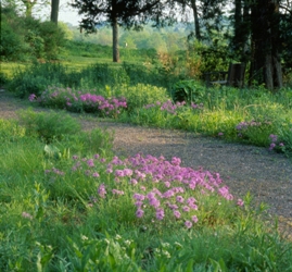 Home Gardening Area