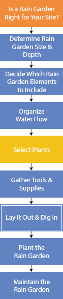 Design and Build a Rain Garden flowchart