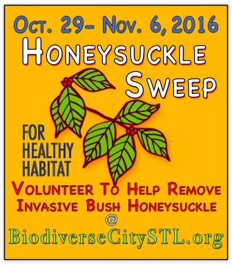 Honeysuckle sweep flyer