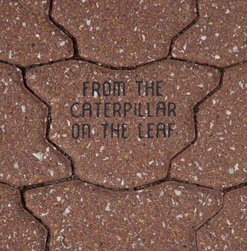 sample butterfly paver with text