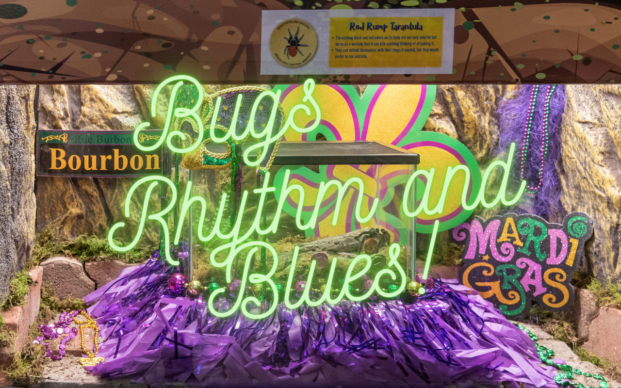 Bugs, Rhythm, and Blues!