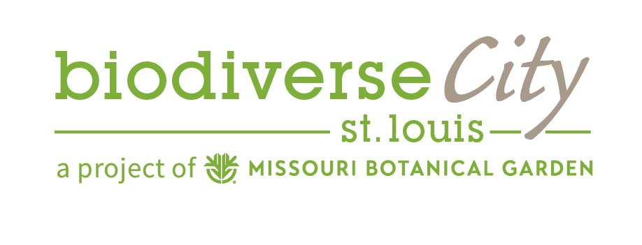 BiodiverseCity logo
