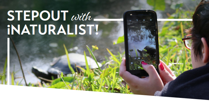 StepOut with iNaturalist