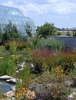 Butterfly Garden with tropical conservatory in background