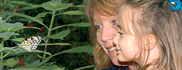 Mother and daughter looking at butterfly