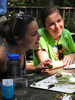 Adult students studying plants
