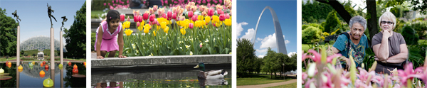 Missouri Botanical Garden and Gateway Arch images