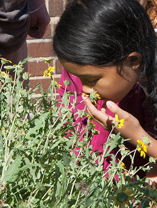 Girl smelling herbs