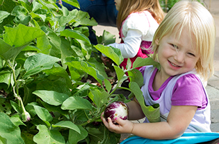 Little girl with vegetable plant