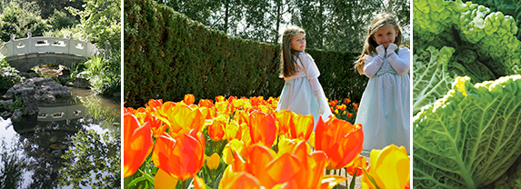 Bridge in Chinese Garden; twin girls in field of tulips; closeup of cabbage 