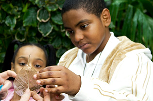 Boy and girl examining leaf skeleton