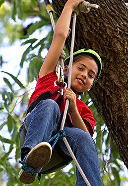 Girl suspended in tree