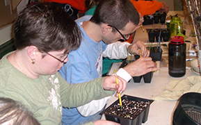 Teachers planting seeds during a workshop