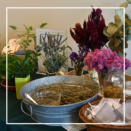 Plant materials