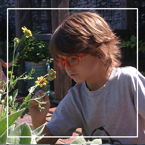 Child examining flowers in the Zimmerman Sensory Garden