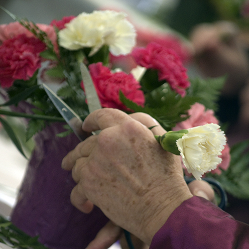 Closeup on hands arranging flowers