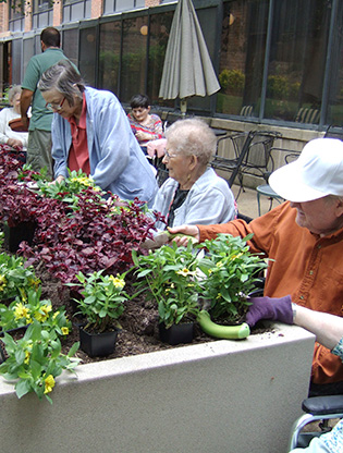 Seniors planting in a raised bed garden