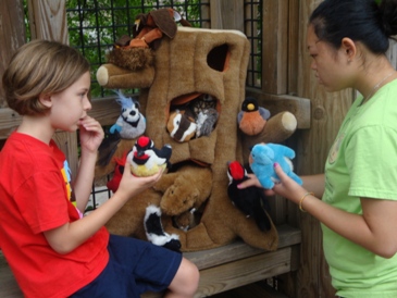 Kids learn about how trees provide shelter for animals