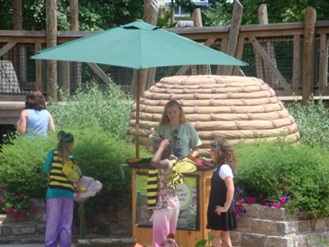 Visitors explore pollination