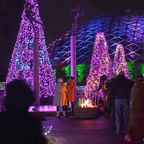 Group standing around fire pit surrounded by colorful holiday lights displays