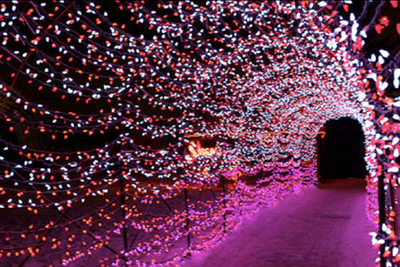 Twinkling Tunnel 