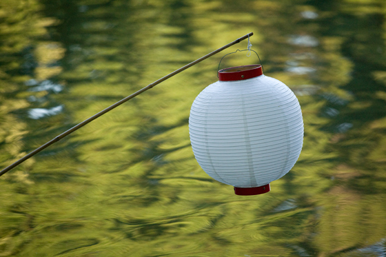 Lantern along the Japanese Festival lake