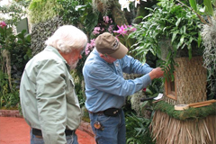 Orchid Show installation