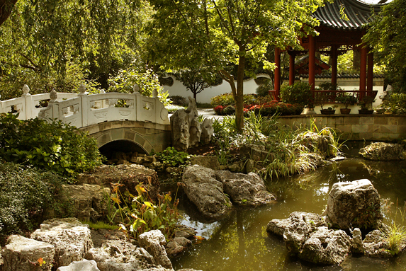 Chinese Garden