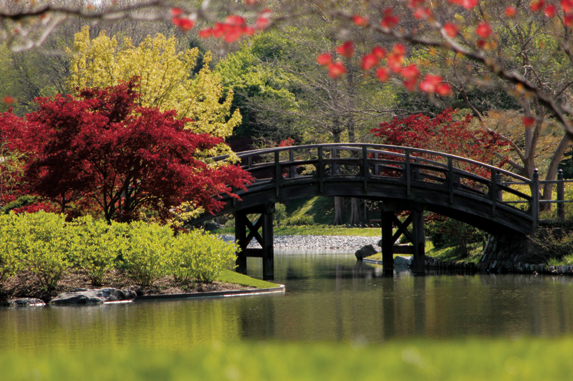 Japanese Garden