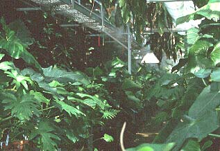 Research greenhouse