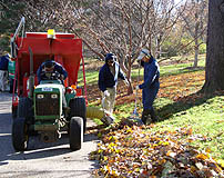 Leaf vacuum