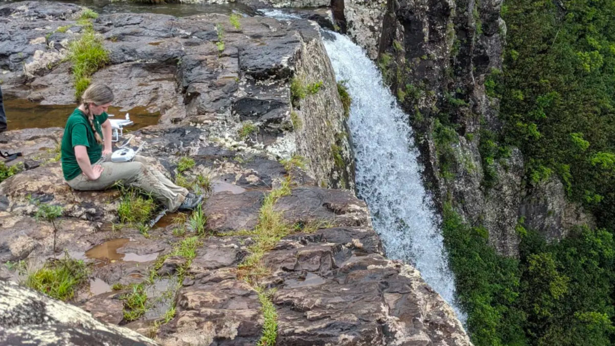 Garden horticulturist studies cliffside in Mauritius