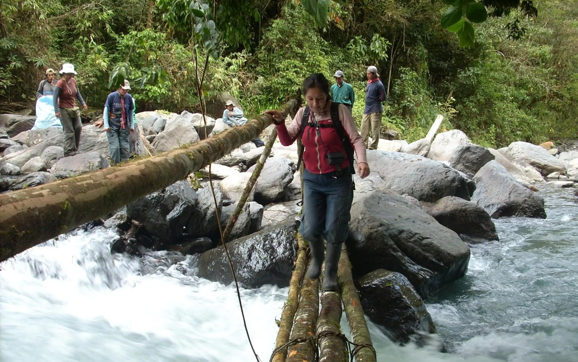 Researchers cross a rushing river in the pursuit of plant conservation