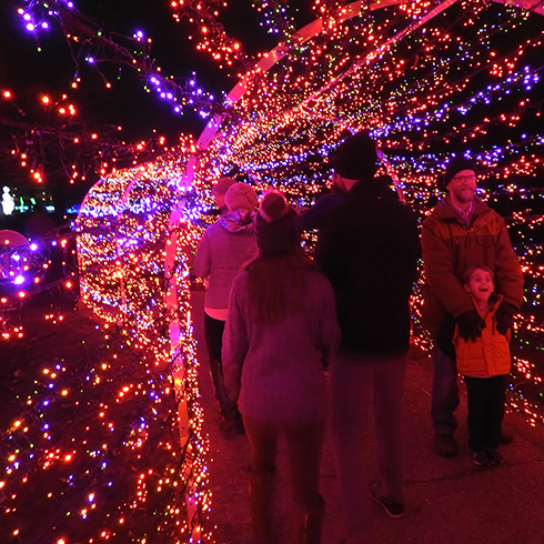 visitors fill twinkling tunnel of light